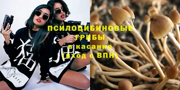 первитин Нея