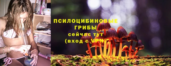 соль ск Нефтегорск