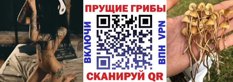 Псилоцибиновые грибы прущие грибы это наркотические препараты Слюдянка